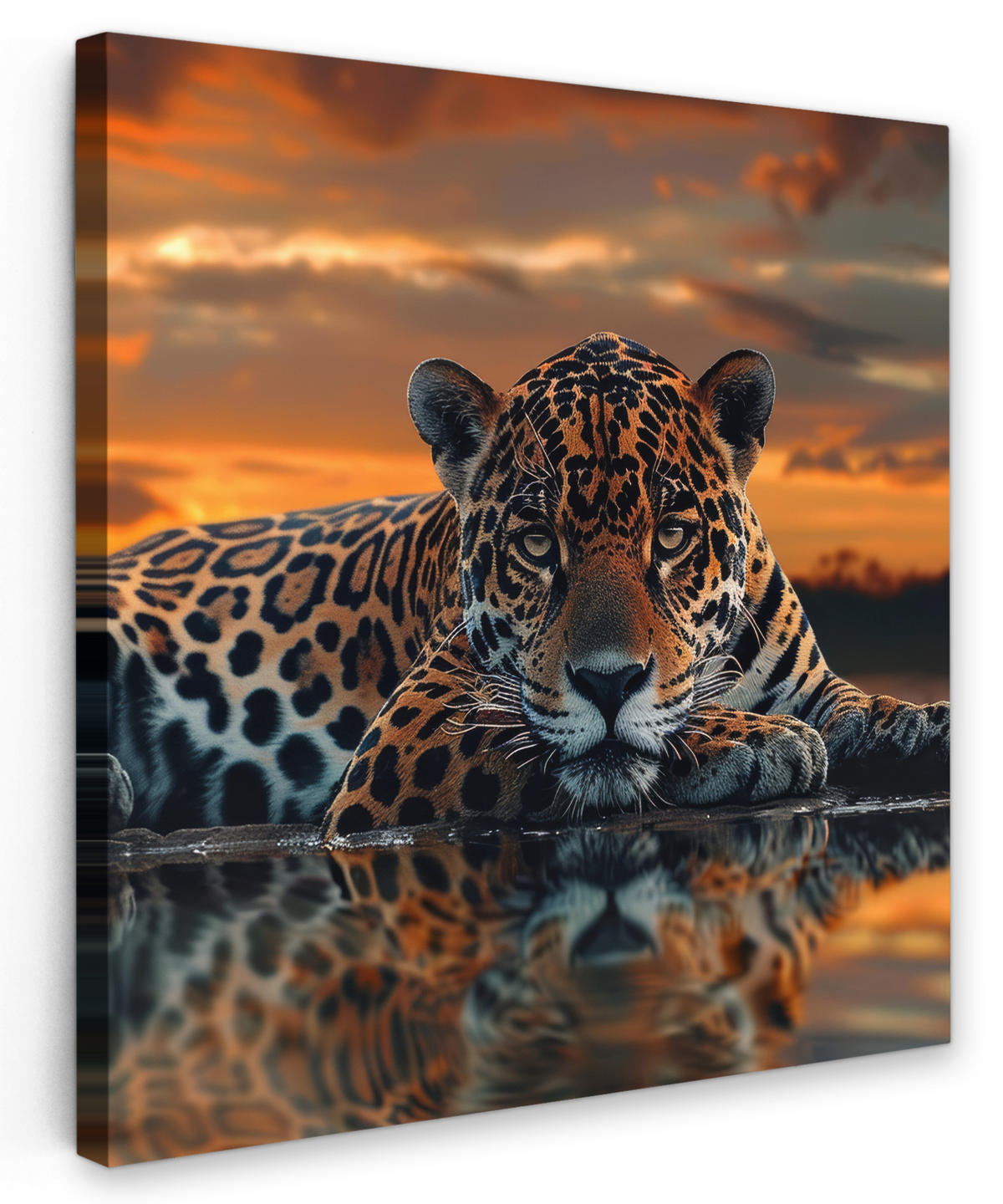 LEINWANDBILD Natur - Leopard - Tier - Sonnenuntergang - Modern 90x90 cm - Orange, Textil (90/90cm) - MuchoWow