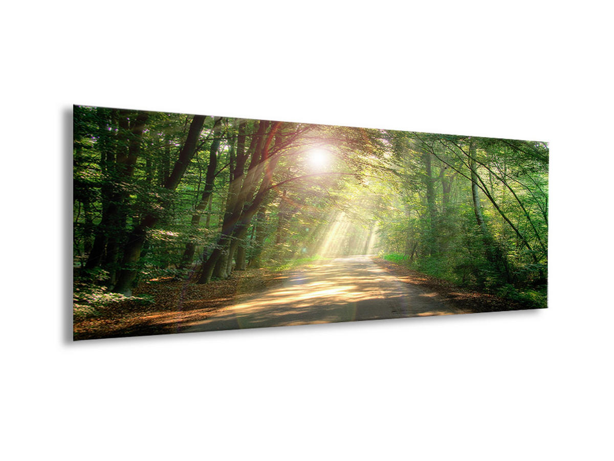 GLASBILD 80x30 cm Wald grün - Gelb, Glas (80/30cm) - artissimo