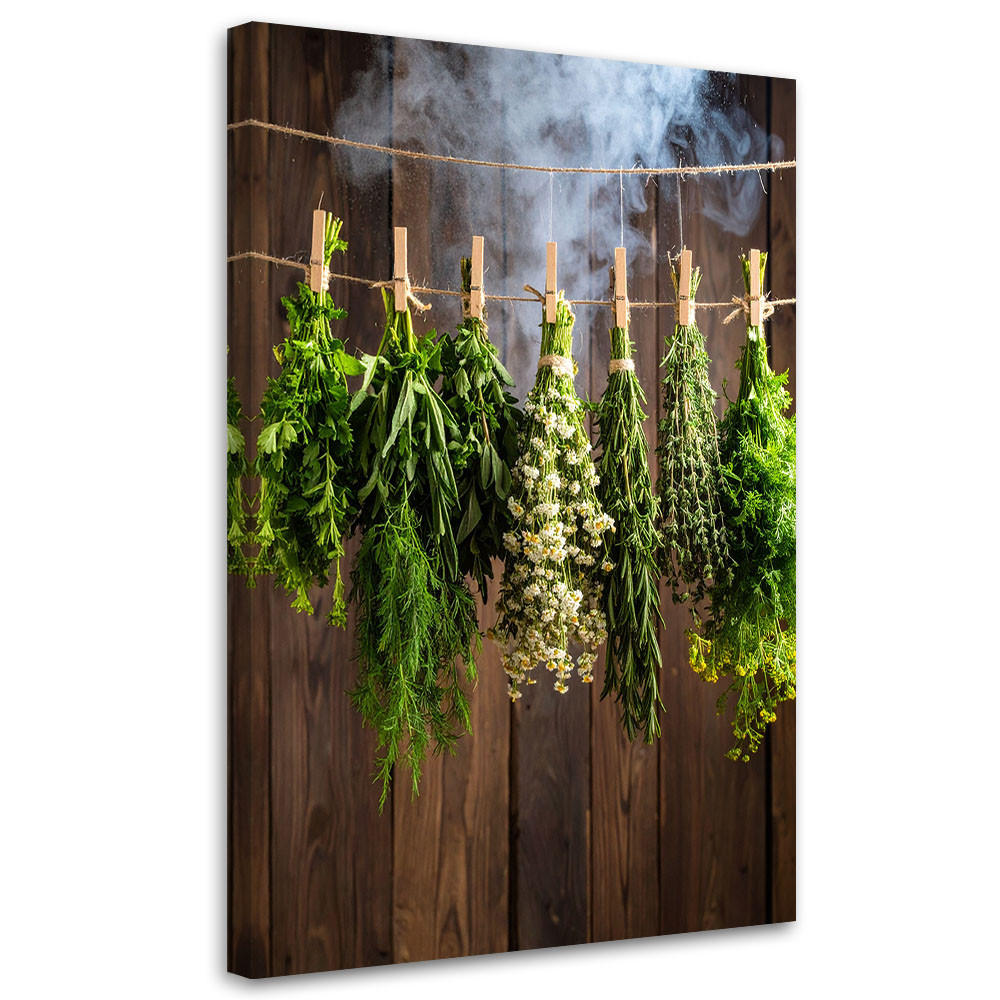LEINWANDBILD Kräuter Gewürze Pflanzen 40x60cm - Braun, Textil (40/60cm) - Feeby