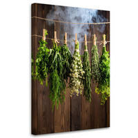 LEINWANDBILD Kräuter Gewürze Pflanzen 40x60cm - Braun, Textil (40/60cm) - Feeby