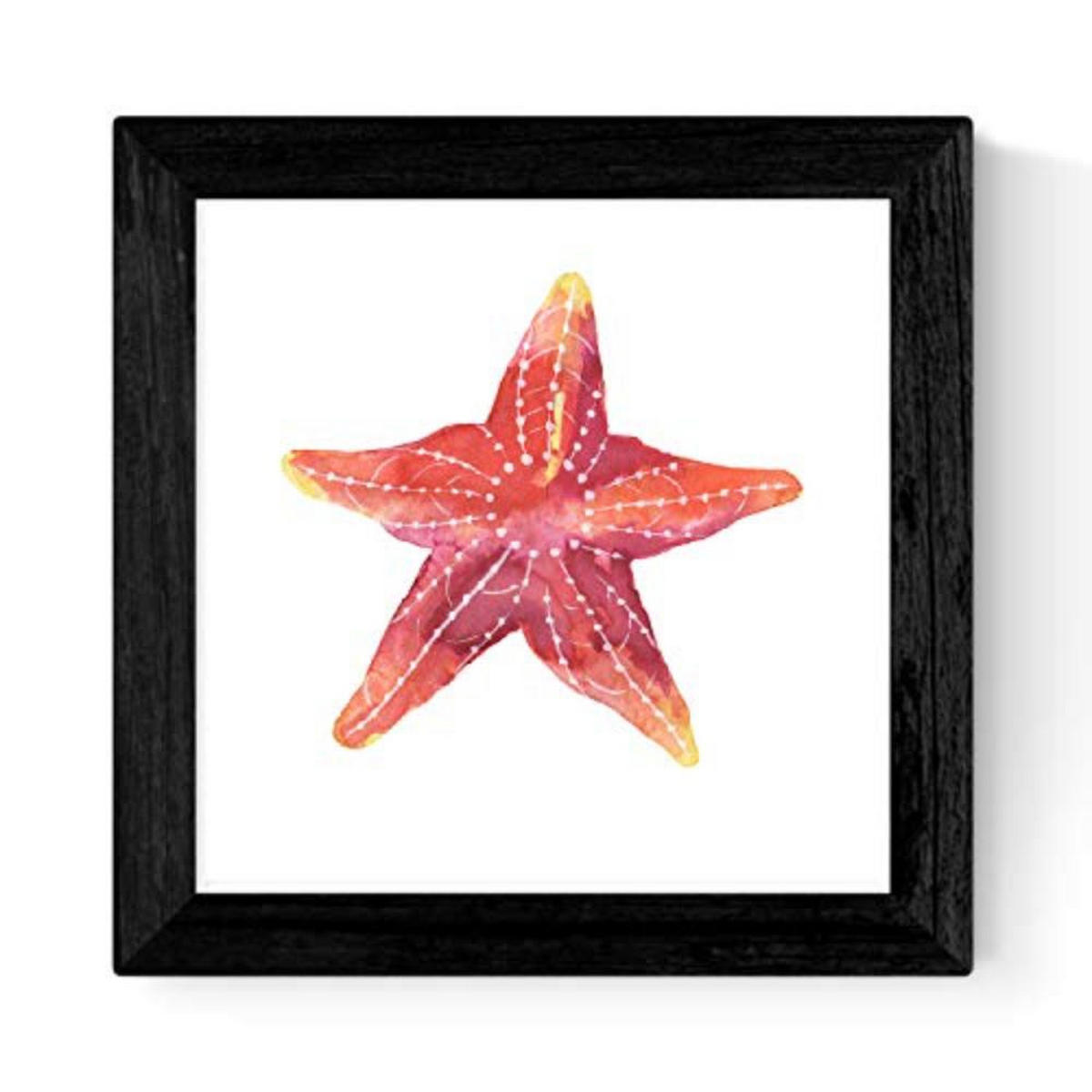 POSTER Set mit 4 Meerestieren 25x25 cm Schwarzer Rahmen - Schwarz, Papier (25/3cm) - Nacnic