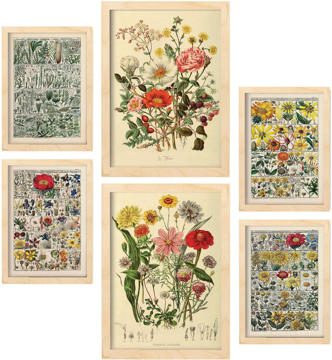 POSTER Set Mit 6 Blumenanatomie In Vintage A3 & A4 Weißer Rahmen - Weiß, Papier (29/3cm) - Nacnic