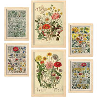 POSTER Set Mit 6 Blumenanatomie In Vintage A3 & A4 Weißer Rahmen - Weiß, Papier (29/3cm) - Nacnic