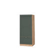 MIKROWELLENSCHRANK Fame-Line Grün-Gold Landhaus 60 cm - Honigeiche/Eiche Wotan, Holzwerkstoff (60/153.6/58.1cm) - Vicco