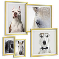BILDER SET 5er Set - 50x50 cm & 20x30 cm & 40x60 cm Goldrahmen - Elegante Porträts von Hunden und Pferden - Goldfarben, Kunststoff (40/60cm) - TULUP