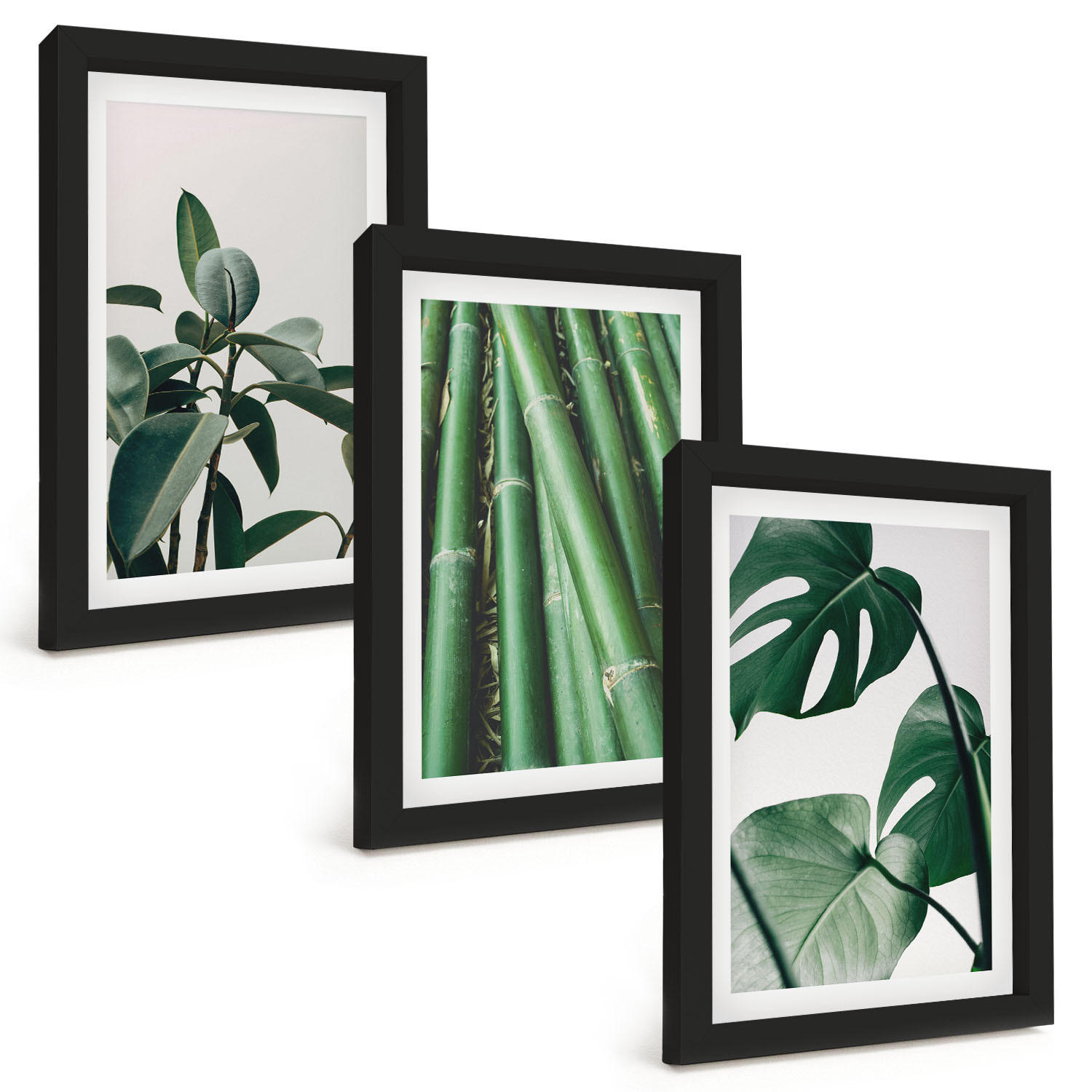 BILDER SET 3er Set - 20x30 cm Schwarzer Rahmen - Bambusstängel und Monstera-Blätter - Schwarz, Kunststoff (20/30cm) - TULUP