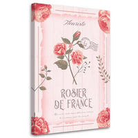 KUNSTDRUCK Rosa 60/90 cm - Pink, Textil (60/90cm) - KUNSTLOFT