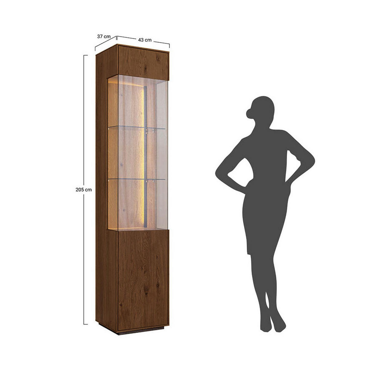 VITRINE Collodi Wildeiche Tabak 43 / 37 / 205cm - Wildeiche/Eichefarben, Holz (43/205/37cm) - Feldmann-Wohnen