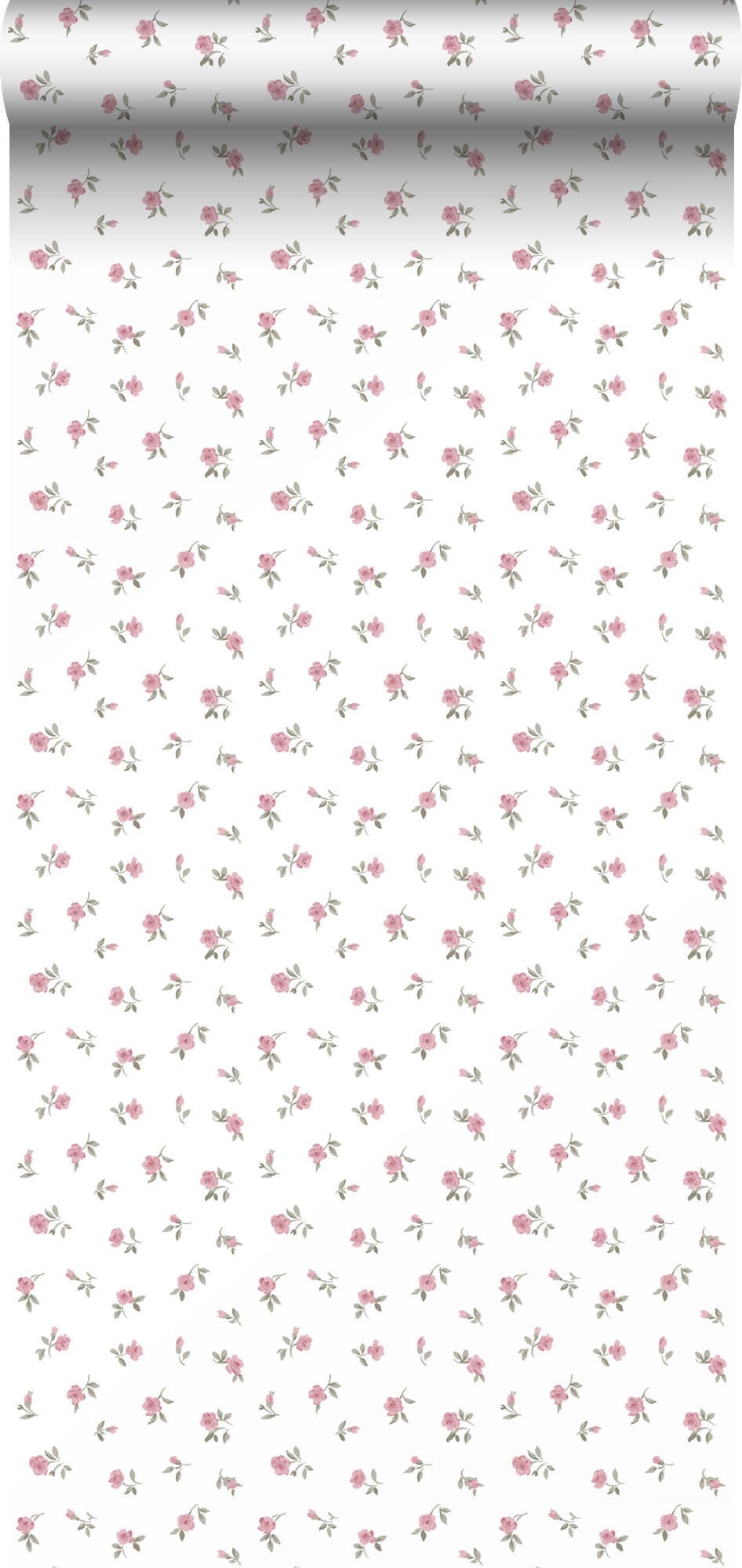 TAPETE Blumen 50 x 900 cm - Pink, Papier (50/900cm) - Sanders & Sanders