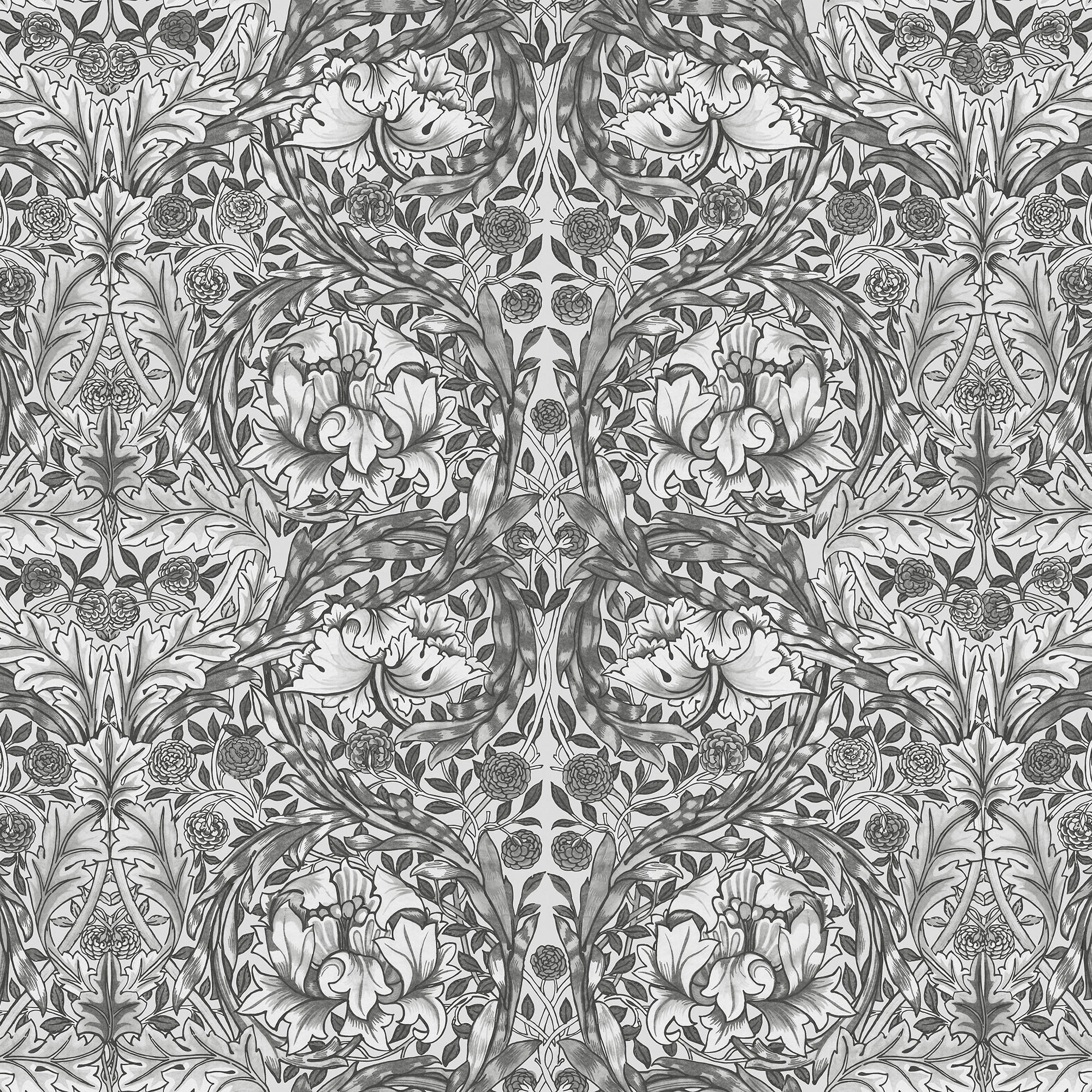 FOTOTAPETE Ringelblume Grau - Grau, Papier/Kunststoff (250/400cm) - Graham & Brown
