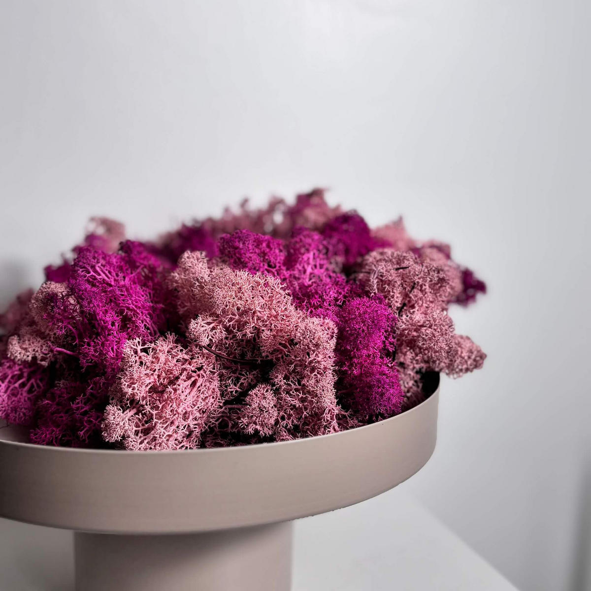 REINDEER-MOOS: Isländischer Reindeermooskranz - rosa/pink - Rosa - Rosa, Naturmaterialien (30cm) - Lykke & You