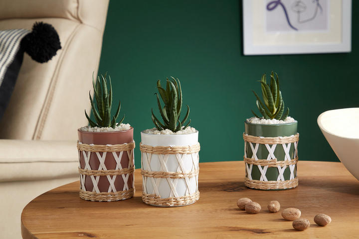 Obaly na květináče