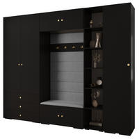GARDEROBEN-SET 236,7/290/47 - Goldfarben/Schwarz, Holz/Kunststoff (290/236.7/47cm) - Abiks Möbel