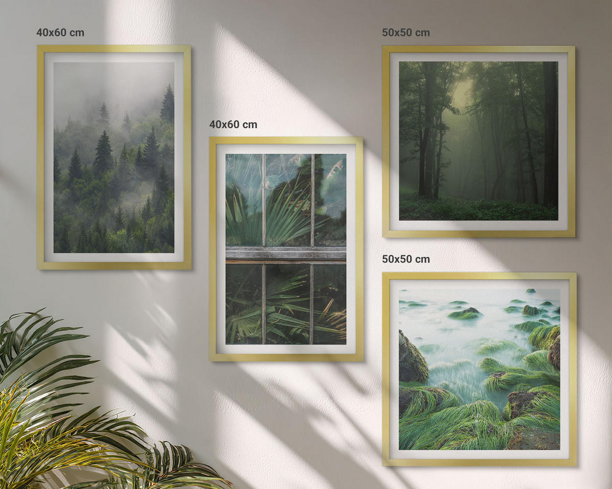 BILDER SET 4er Set - 50x50 cm & 40x60 cm Goldrahmen - Waldnebel, Fluss, Gewächshauspflanzen - Goldfarben, Kunststoff (50/50cm) - TULUP