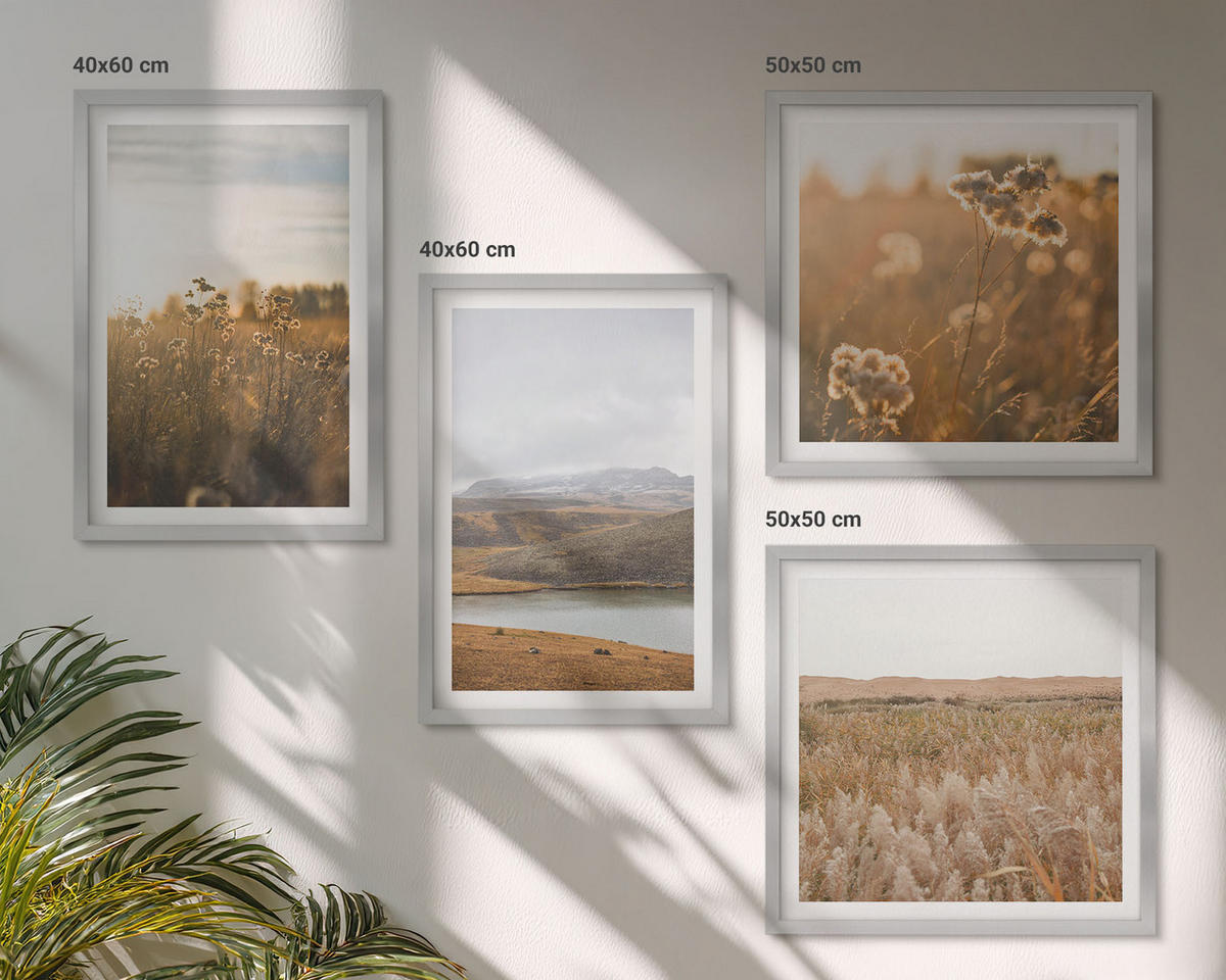 WANDBILDER 4er Set - 50x50 cm & 40x60 cm Silberner Rahmen - Landschaften Wiesen Berge See - Silberfarben, Kunststoff (50/50cm) - ArtPrintCave