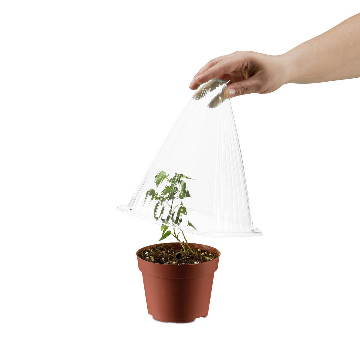 10XPFLANZENHUT - Transparent, Kunststoff (19/22/19cm) - Relaxdays