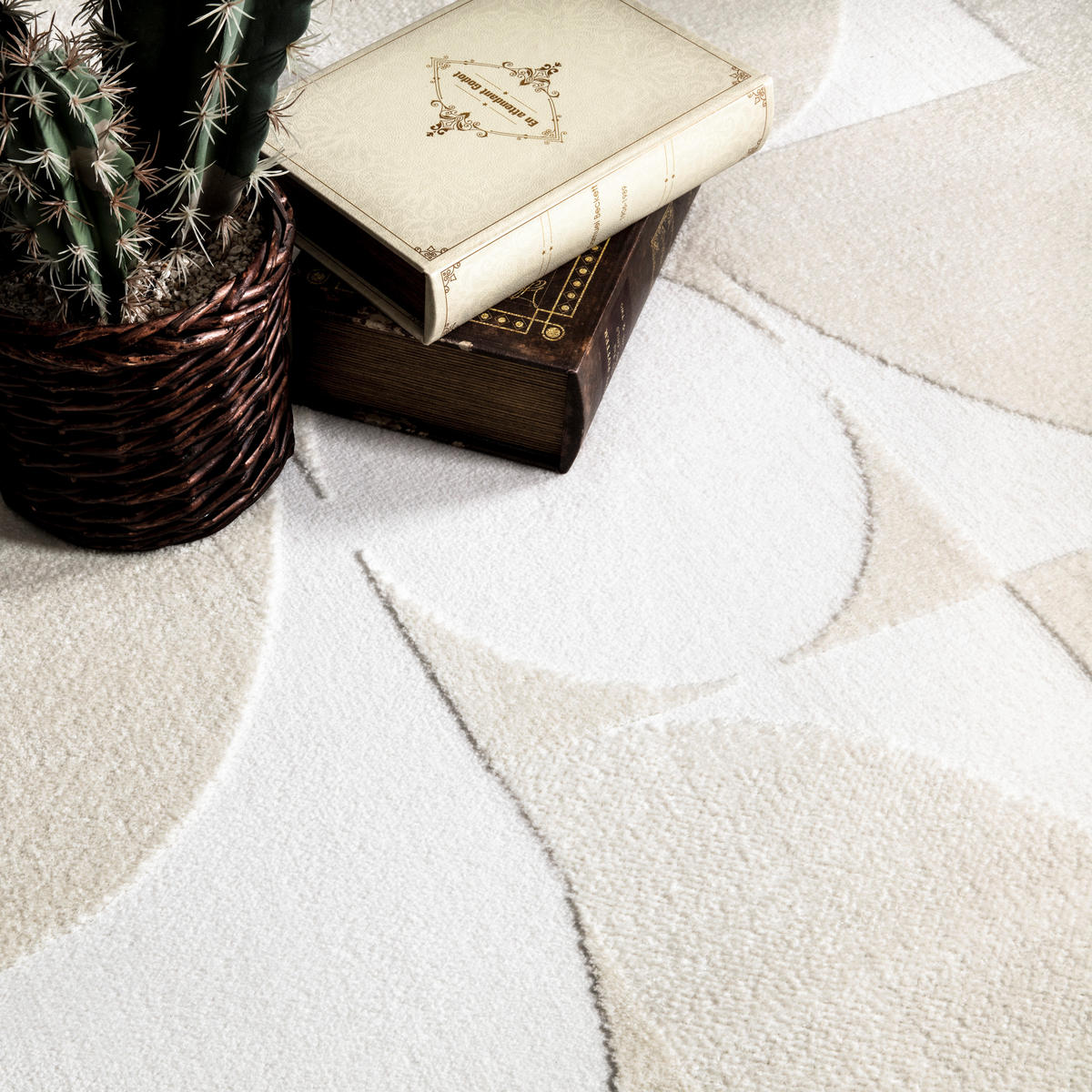 KURZFLORTEPPICH 160/220 cm Luzern 656 - Creme, Textil (160/220cm) - Paco Home