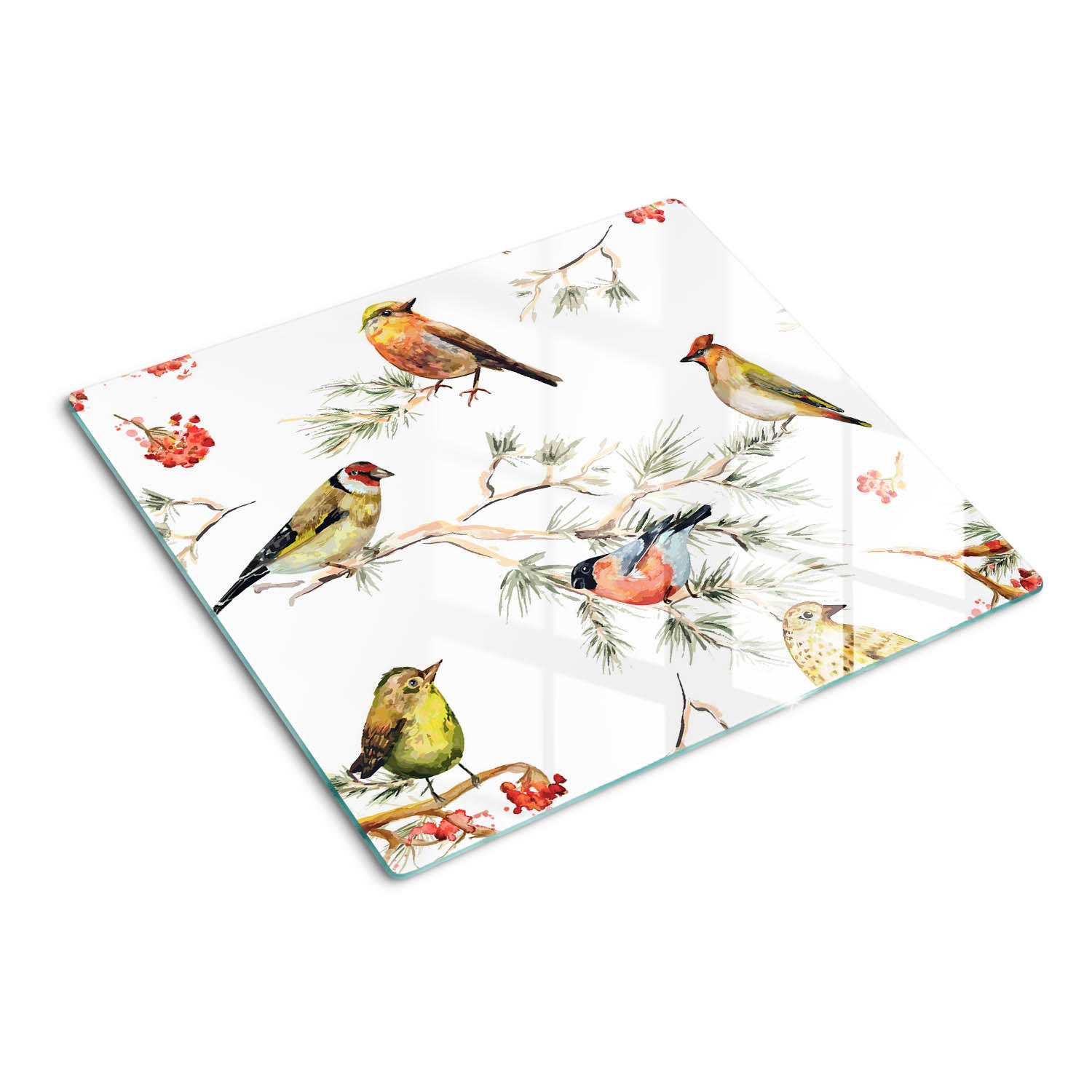 GLASPLATTE 60x52 cm Waldvögel Pflanzen - Hellgrau/Weiß, Glas (60/0.4/52cm) - TULUP