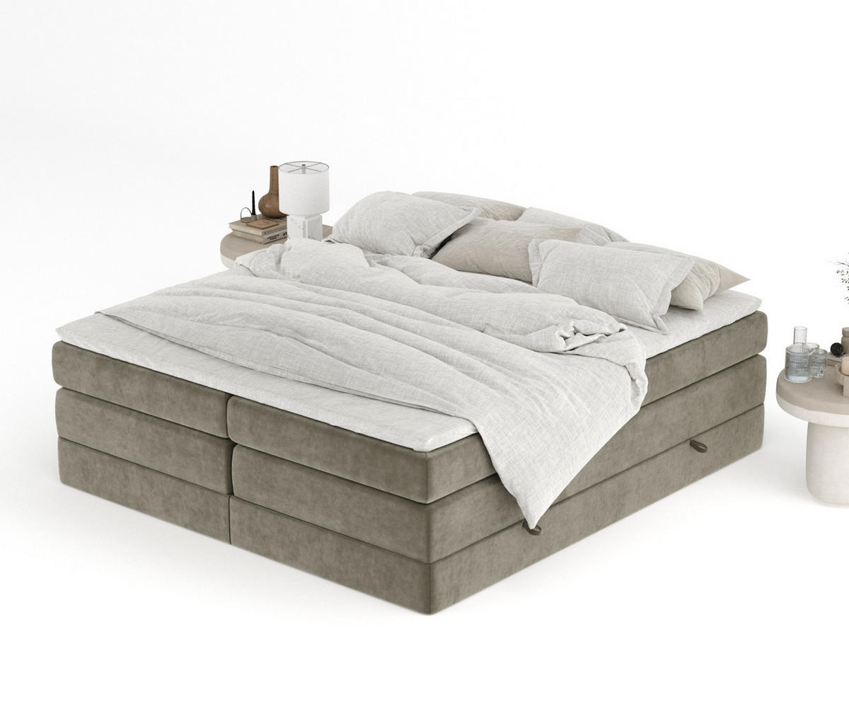 BOXSPRINGBETT Juniper Taupe 160/200 cm - Taupe/Schwarz, Holz/Holzwerkstoff (160/200cm) - Maison de Reve