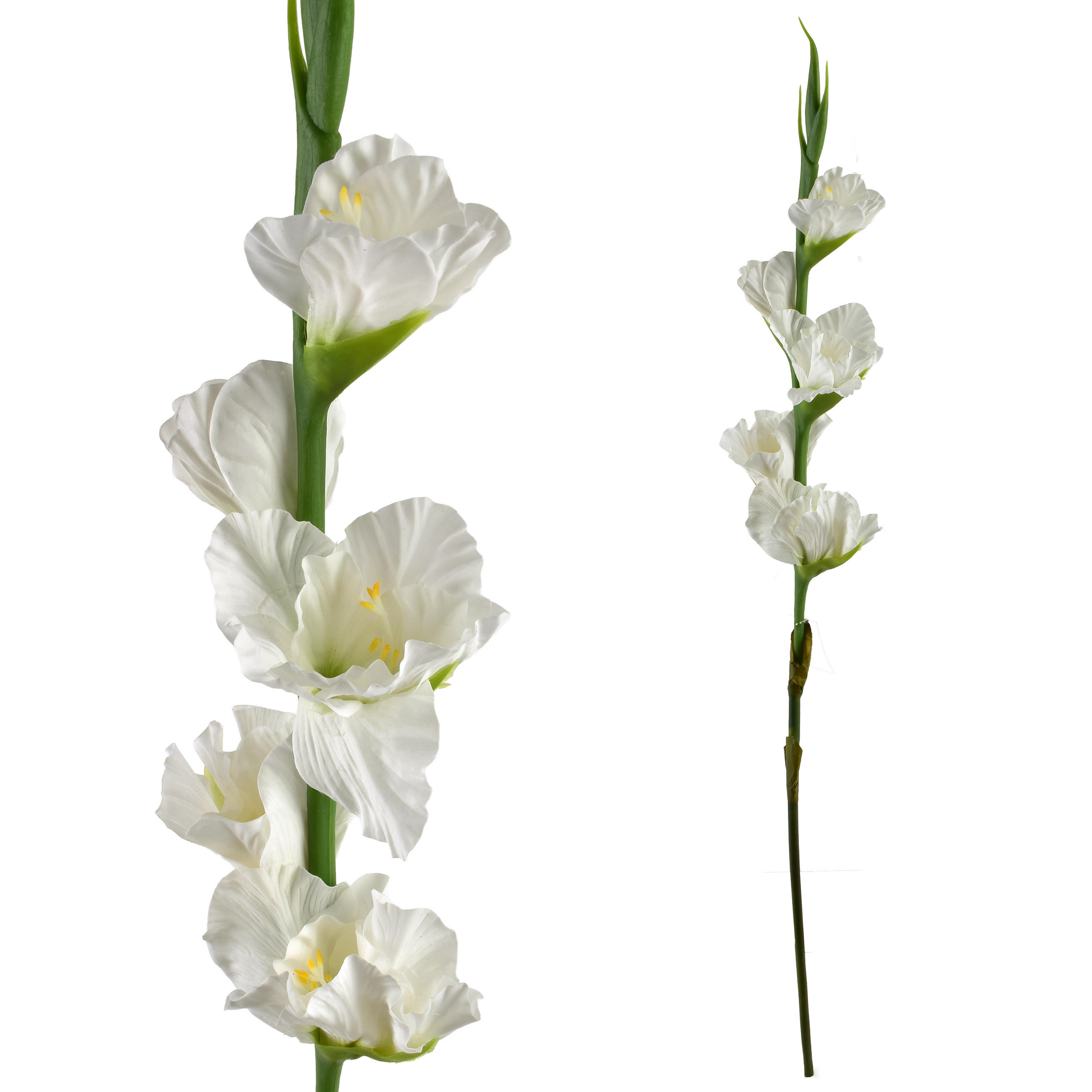 KVĚTINA, plast, růžová - bílá, plast (85cm) - Mondex