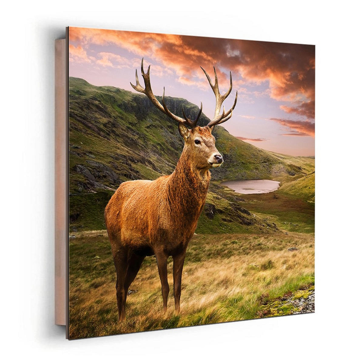 BILD 30x30 cm Hirsch Berge - Beige, Holzwerkstoff (30/30/2cm) - artissimo