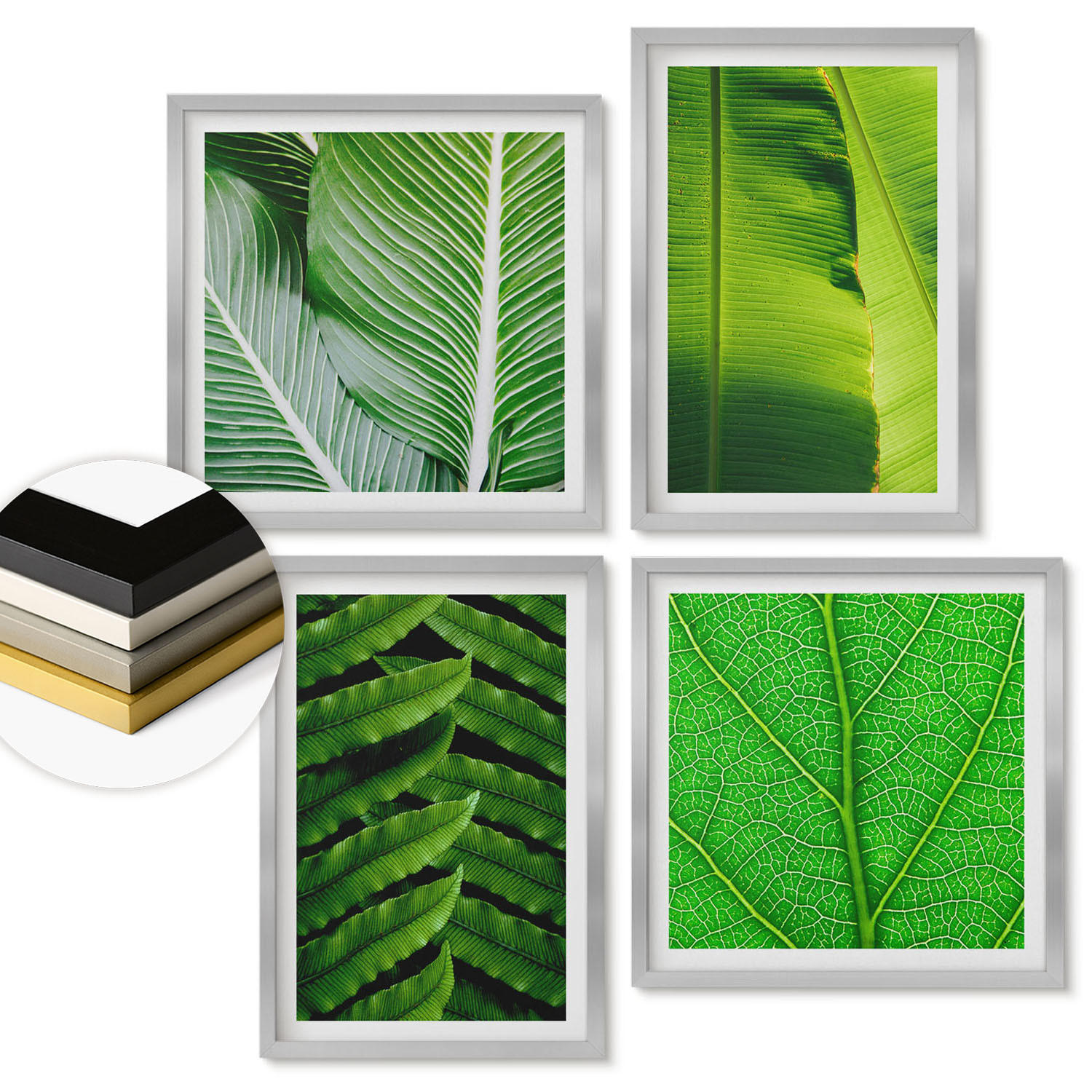 WANDBILDER 4er Set - 50x50 cm & 40x60 cm Silberner Rahmen - Nahaufnahme von tropischen Blättern - Silberfarben, Kunststoff (50/50cm) - ArtPrintCave