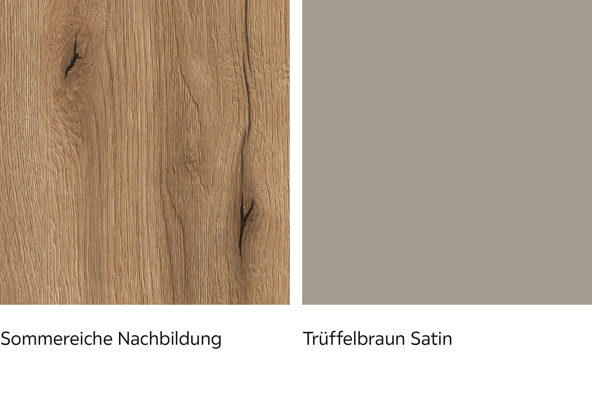 Sommereiche und Trüffelbrauner Korpus