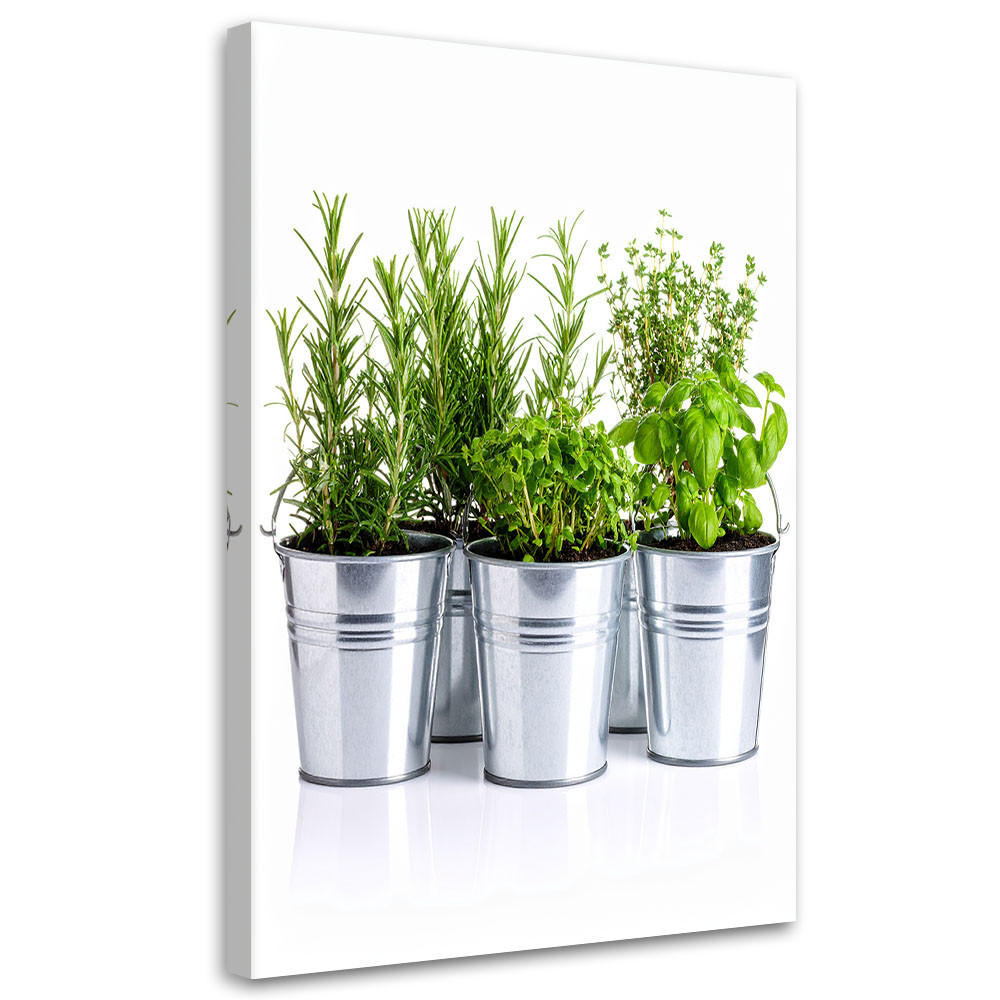 LEINWANDBILD Kräuter Gewürze 70x100cm - Grün, Textil (70/100cm) - Feeby