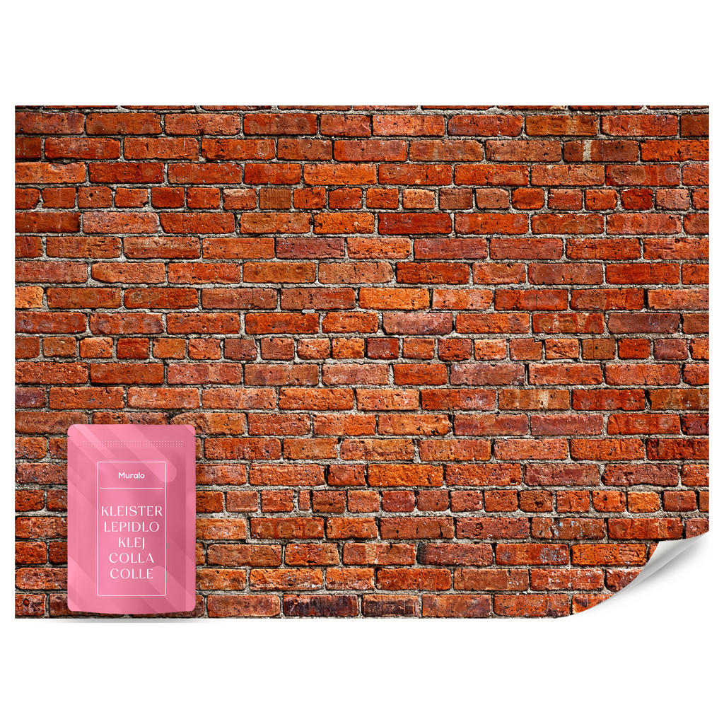 Muralo FOTOTAPETA do Obývacího Pokoje Cihlová Zeď Cihly 3D 350x256