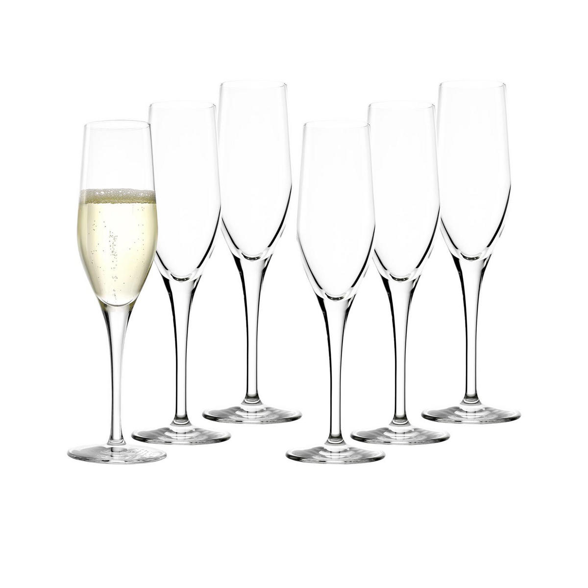 WEIN- UND SEKTGLÄSER Exquisit transparent 18er Set - Transparent, Glas - Stölzle Lausitz