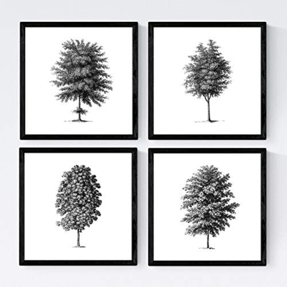 Nacnic Poster Klar 30x3 cm