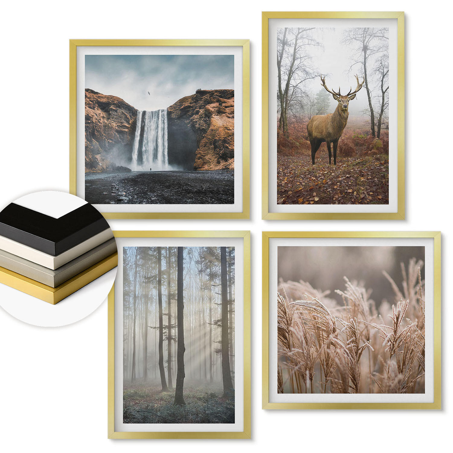 ArtPrintCave Wandbilder Gold 50x50 cm