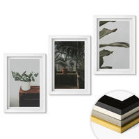 WANDBILDER 3er-Set - 20x30 cm Weißer Rahmen - Rustikale Topfpflanzen - Weiß, Kunststoff (20/30cm) - ArtPrintCave