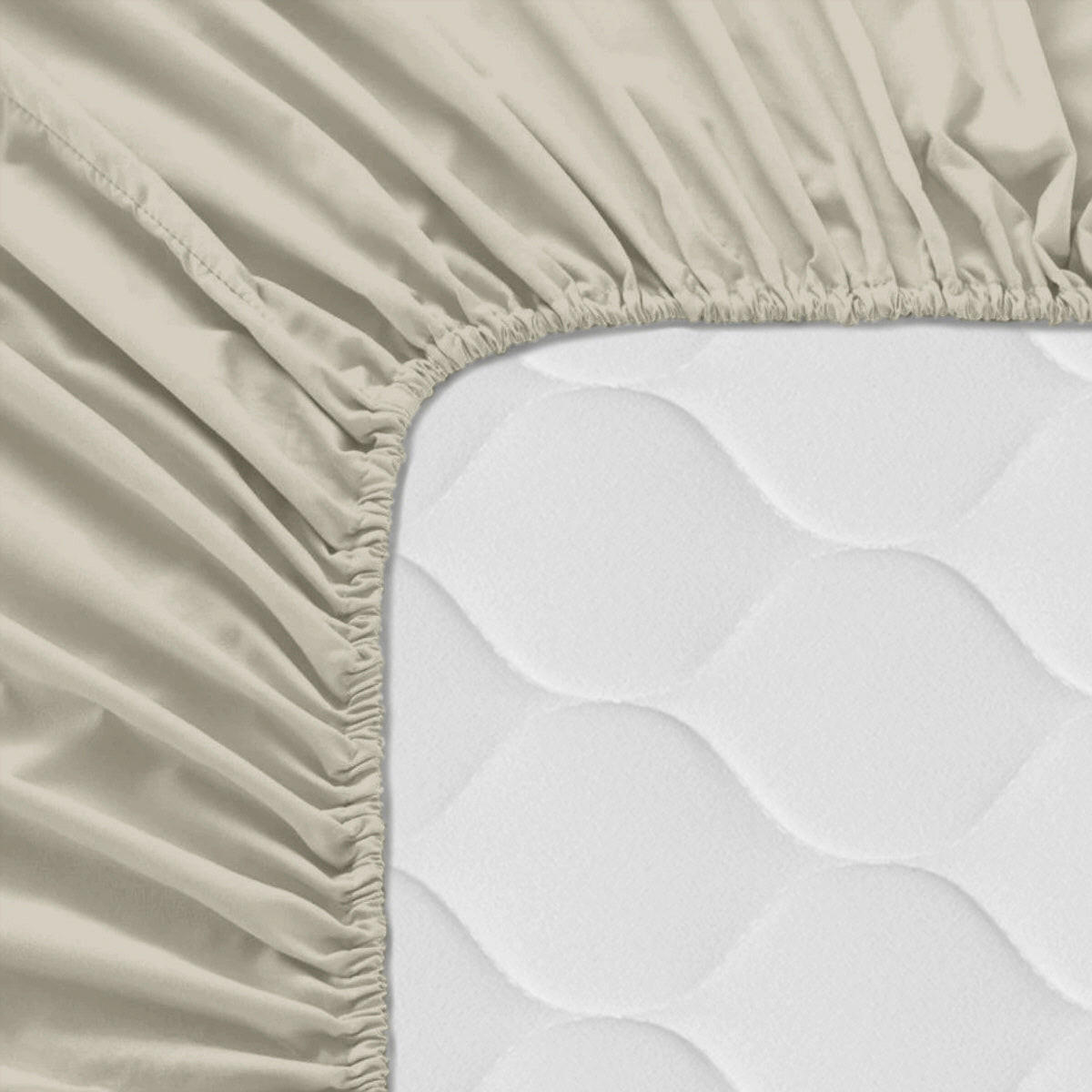 SPANNBETTTUCH basic 60x120x14 cm (kinderbett) beige - Beige, Textil (60/120cm) - Happy Friday