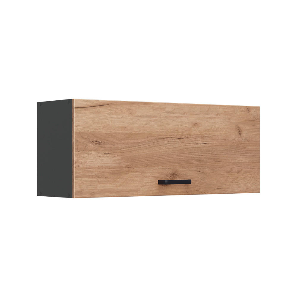 HÄNGESCHRANK R-Line, Goldkraft Eiche/Anthrazit, 100 cm Flach - Honigeiche/Anthrazit, Holzwerkstoff (100/40/31cm) - Vicco