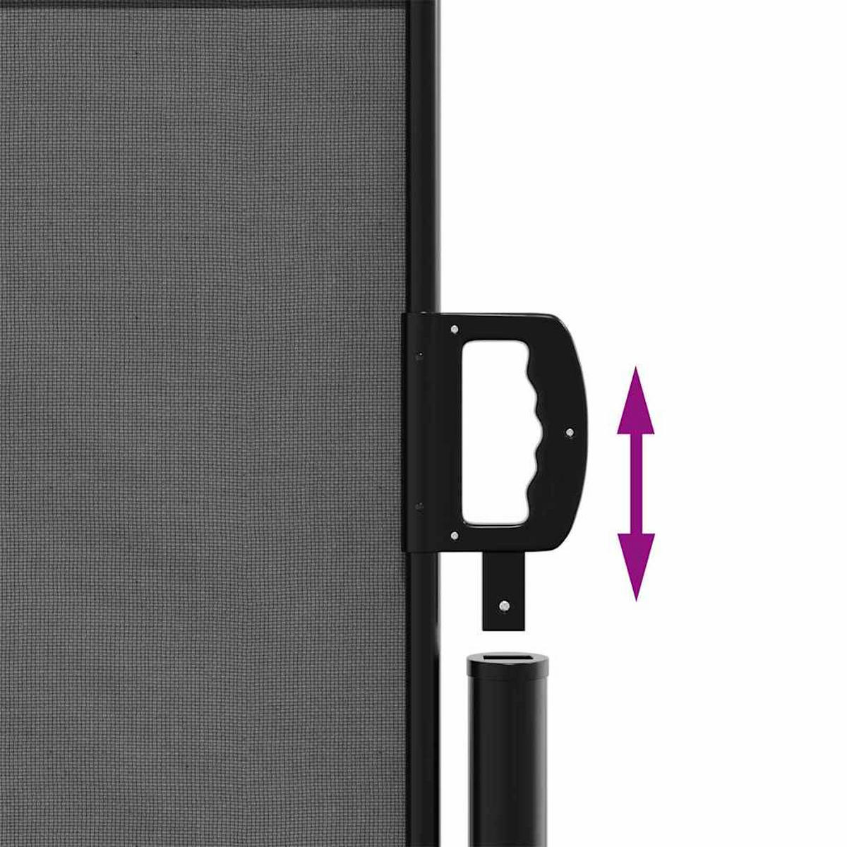 SEITENMARKISE Ausziehbare Anthrazit 120/600 Cm - Anthrazit, Textil (120/600cm) - vidaXL