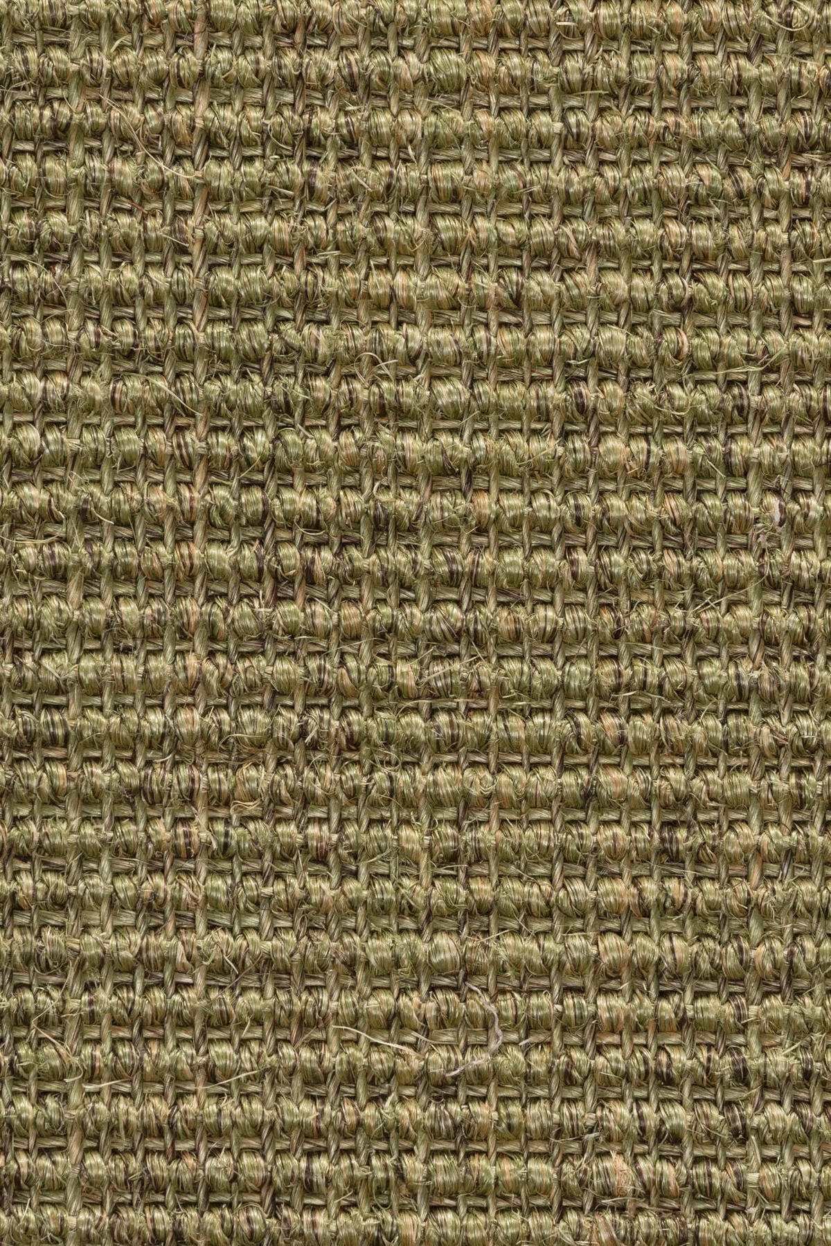 TEPPICH Sisal Manaus heu/kiwi Rund 300cm - Grün, Textil (300/300cm) - Astra