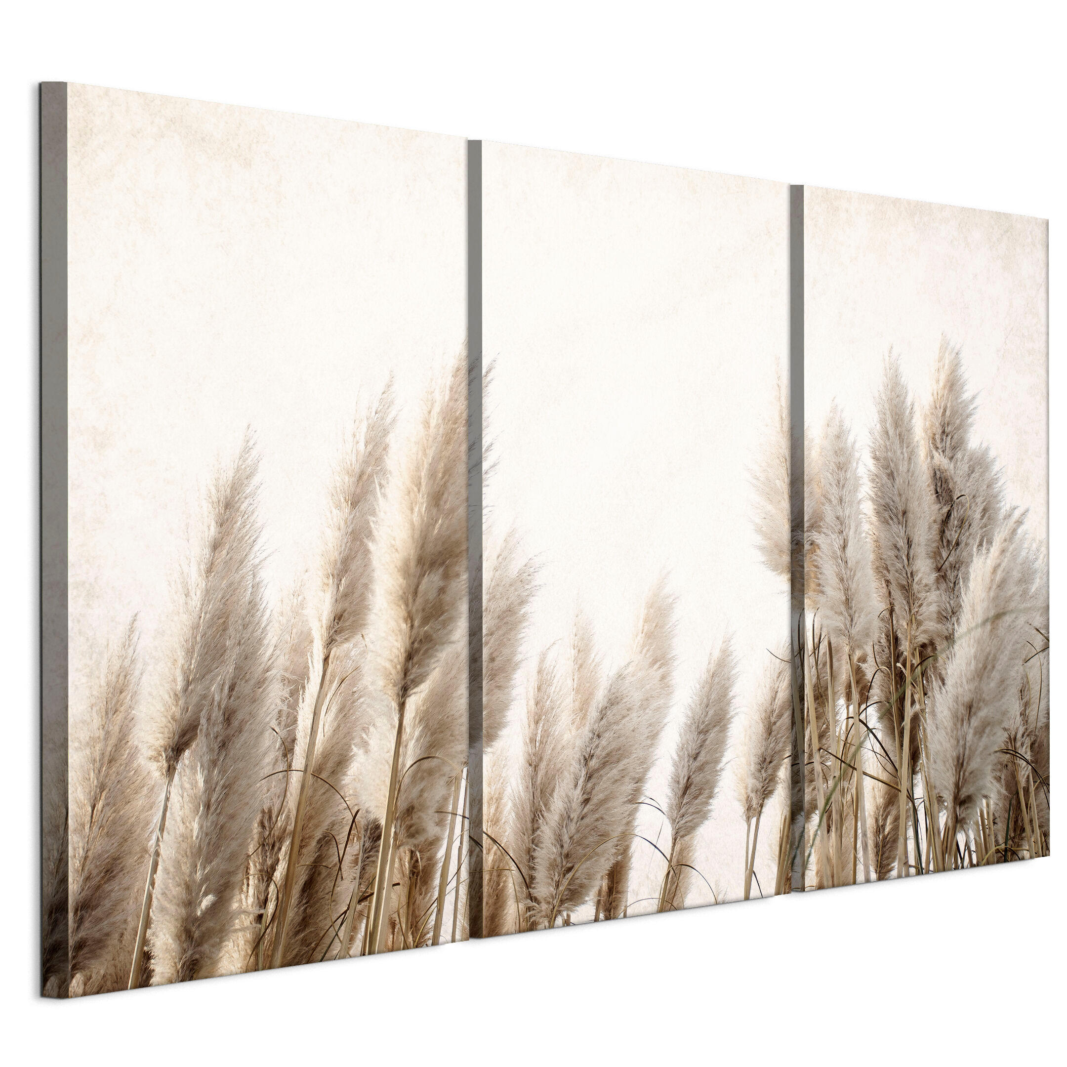 LEINWANDBILD Pampasgras 3-tlg. 120x80 cm - Multicolor, Holz (120/80cm) - LUMASOUL