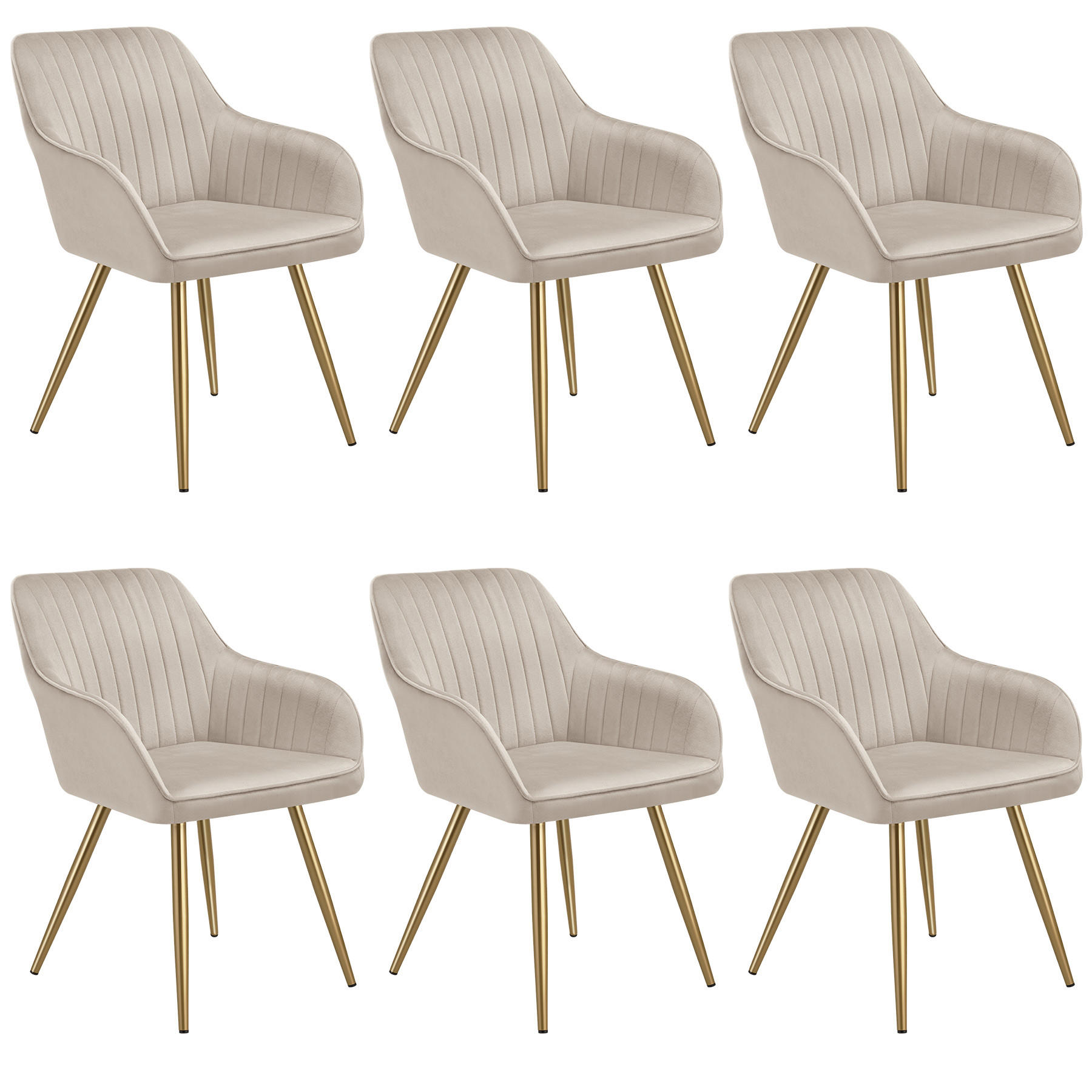 ESSZIMMERSTUHL 6er Set Marilyn,58 x 62 x 82 cm,taupe/gold - Taupe/Goldfarben, Kunststoff (58/82/62cm) - tectake