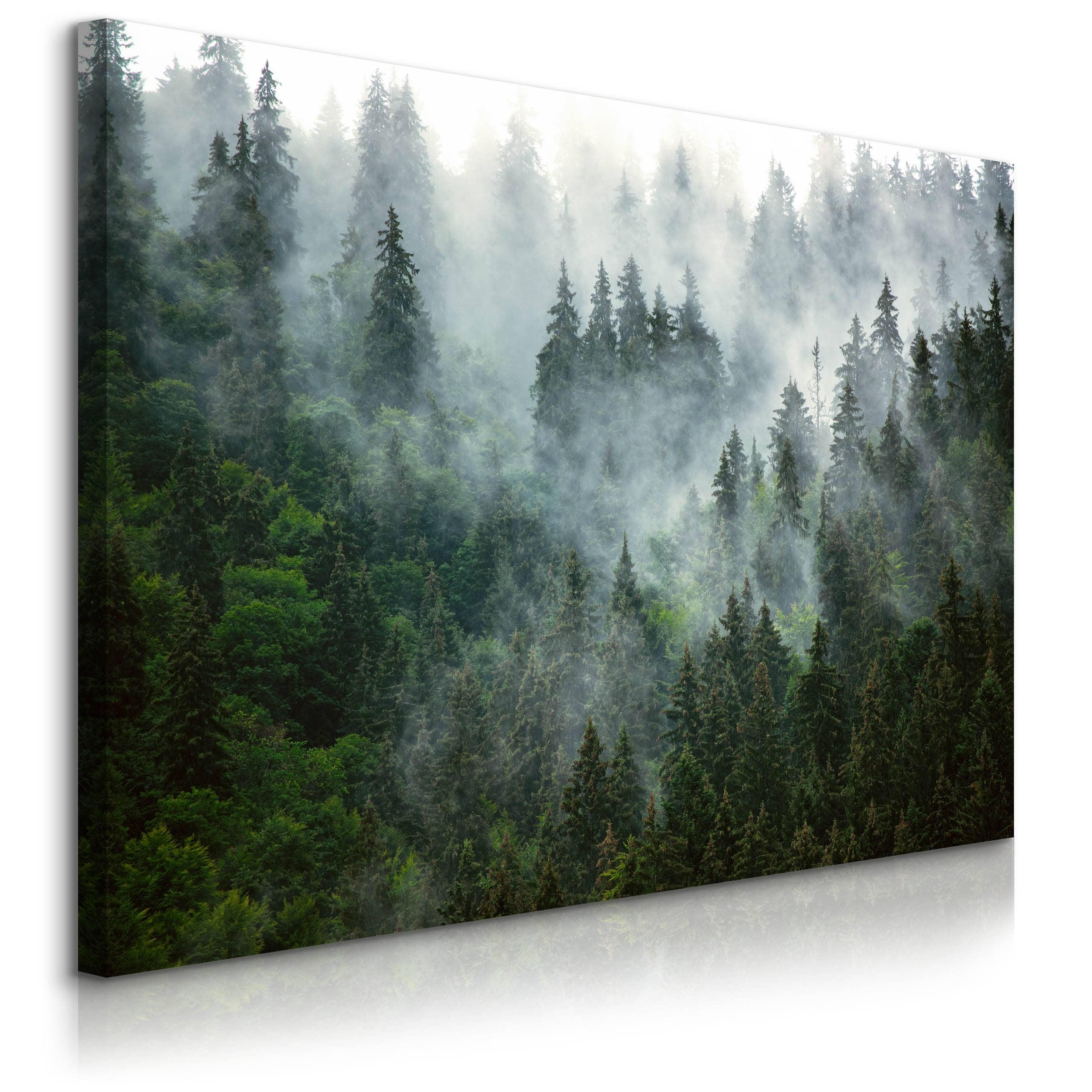 LEINWANDBILD Wald im Nebel Landschaft 3D 120x80 - Schwarz/Grau, Textil (120/80cm) - Muralo