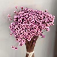 TROCKENBLUMEN Glixia Bund in Lila - Lila, Naturmaterialien (50cm) - Lykke & You