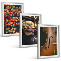 BILDER SET 3er Set - 40x60 cm Silberner Rahmen - Vintage Blumen Wein Geige - Silberfarben, Kunststoff (40/60cm) - TULUP