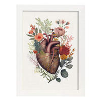 POSTER Anatomie Herz A3 Weißer Rahmen - Weiß, Papier (29.7/5/42cm) - Nacnic