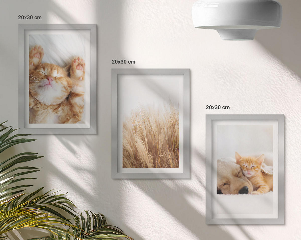BILDER SET 3er Set - 20x30 cm Silberner Rahmen - Niedliche Tiere, Katzen, Hunde, Boho-Stil - Silberfarben, Kunststoff (20/30cm) - TULUP