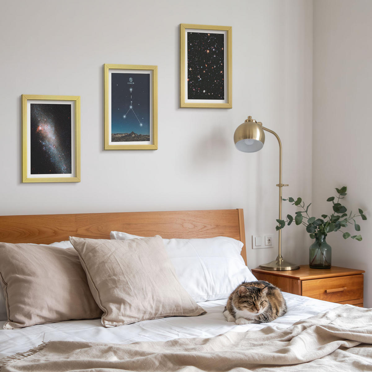 BILDER SET 3er Set - 20x30 cm Goldrahmen - Weltraumgalaxie-Konstellation Krebs - Goldfarben, Kunststoff (20/30cm) - TULUP