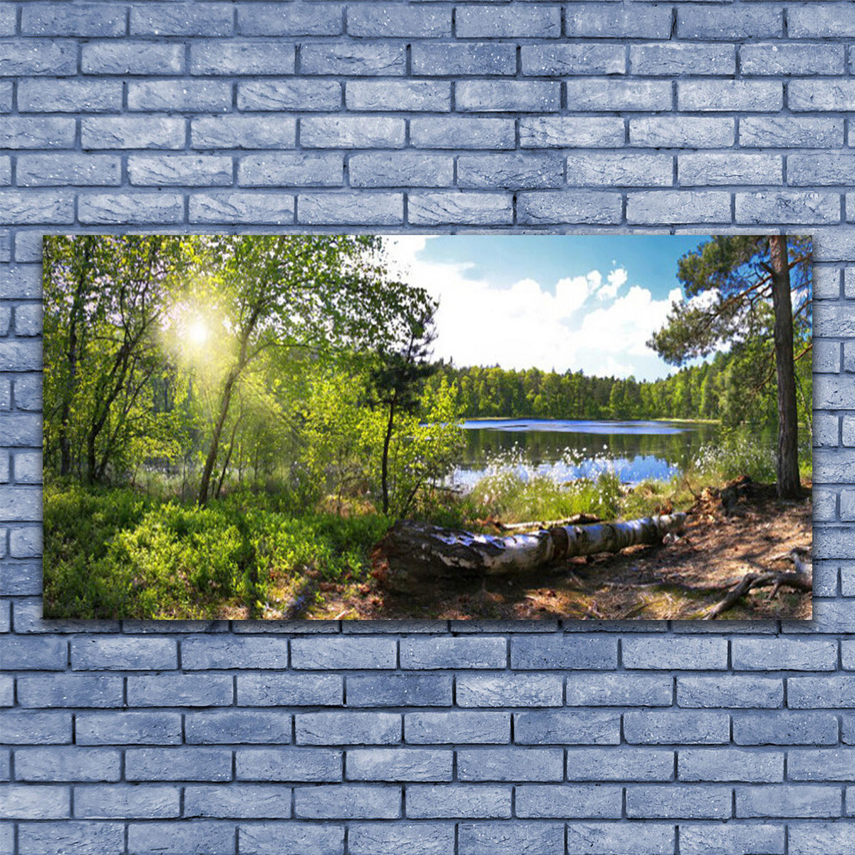 LEINWANDBILD 140x70 cm See im Wald - Blau/Hellblau, Textil (140/4cm) - TULUP