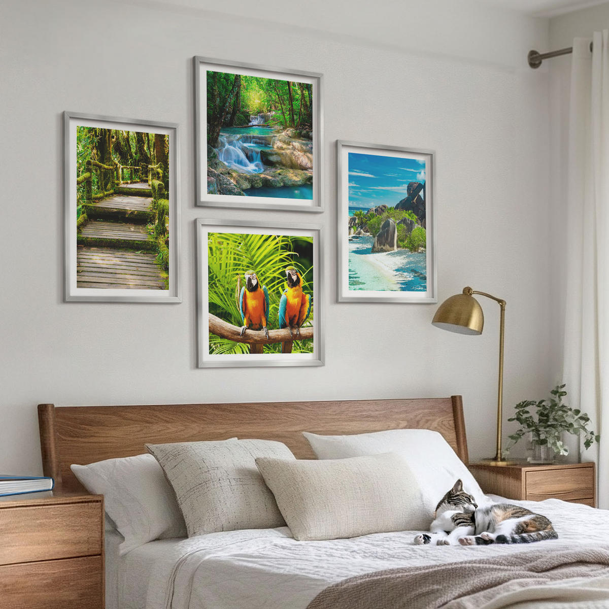 WANDBILDER 4er Set - 50x50 cm & 40x60 cm Silberner Rahmen - Tropischer Wald Papageienwasserfall - Silberfarben, Kunststoff (50/50cm) - ArtPrintCave
