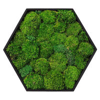MOOSBILD Hexagon 38x34 cm Mooswand Indoor mit echtem Kugelmoos und Holzrahmen Grün Pflegefrei - Grün, Naturmaterialien (38/34/3.4cm) - ECD-Germany