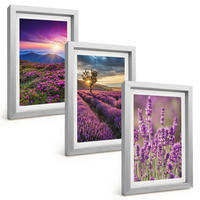 BILDER SET 3er Set - 20x30 cm Silberner Rahmen - Sonnenuntergang auf Lavendelfeldern - Silberfarben, Kunststoff (20/30cm) - TULUP