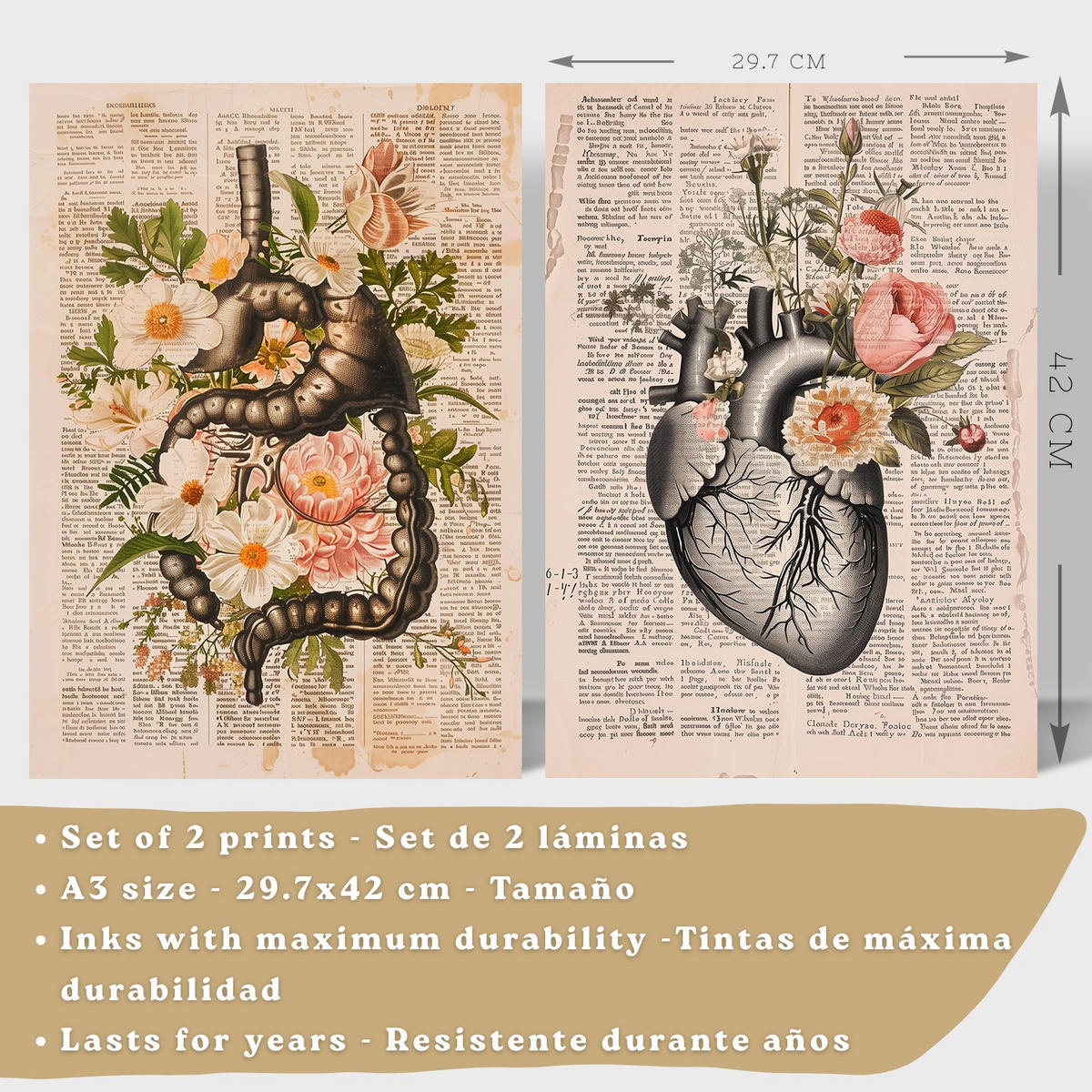 POSTER Set aus 2 Anatomie Mensch Drucke und Wandbilder mit Verdauungssystem Darm und Herz Klassisches Florales Design Größe Rahmenlos A3 - Klar, Papier (29.7/42/3cm) - Nacnic